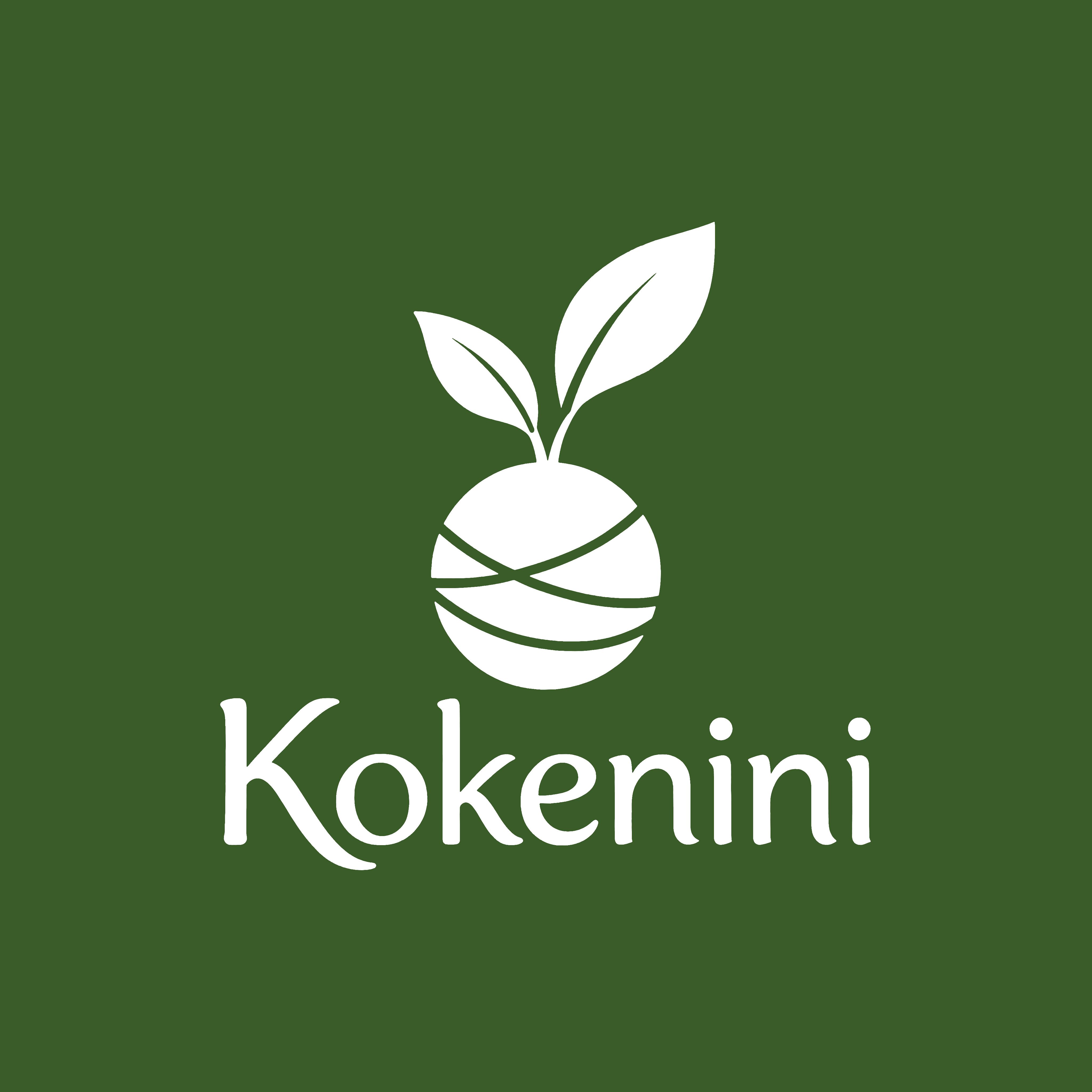 Kokenini — logo